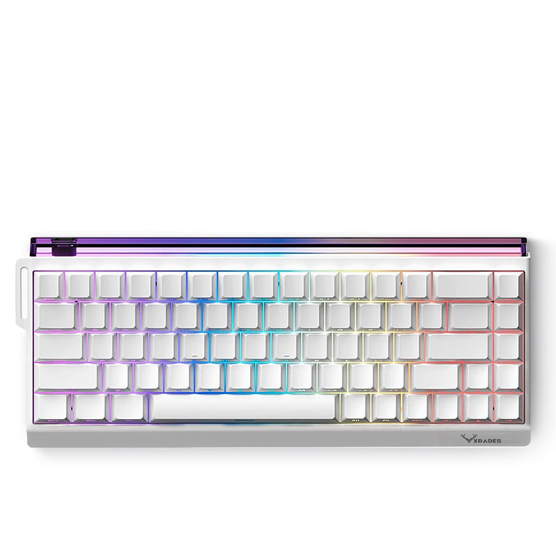 XRADES XR68 ULTRA ICE PRO ( MANYETİK SWITCH ) KLAVYE
