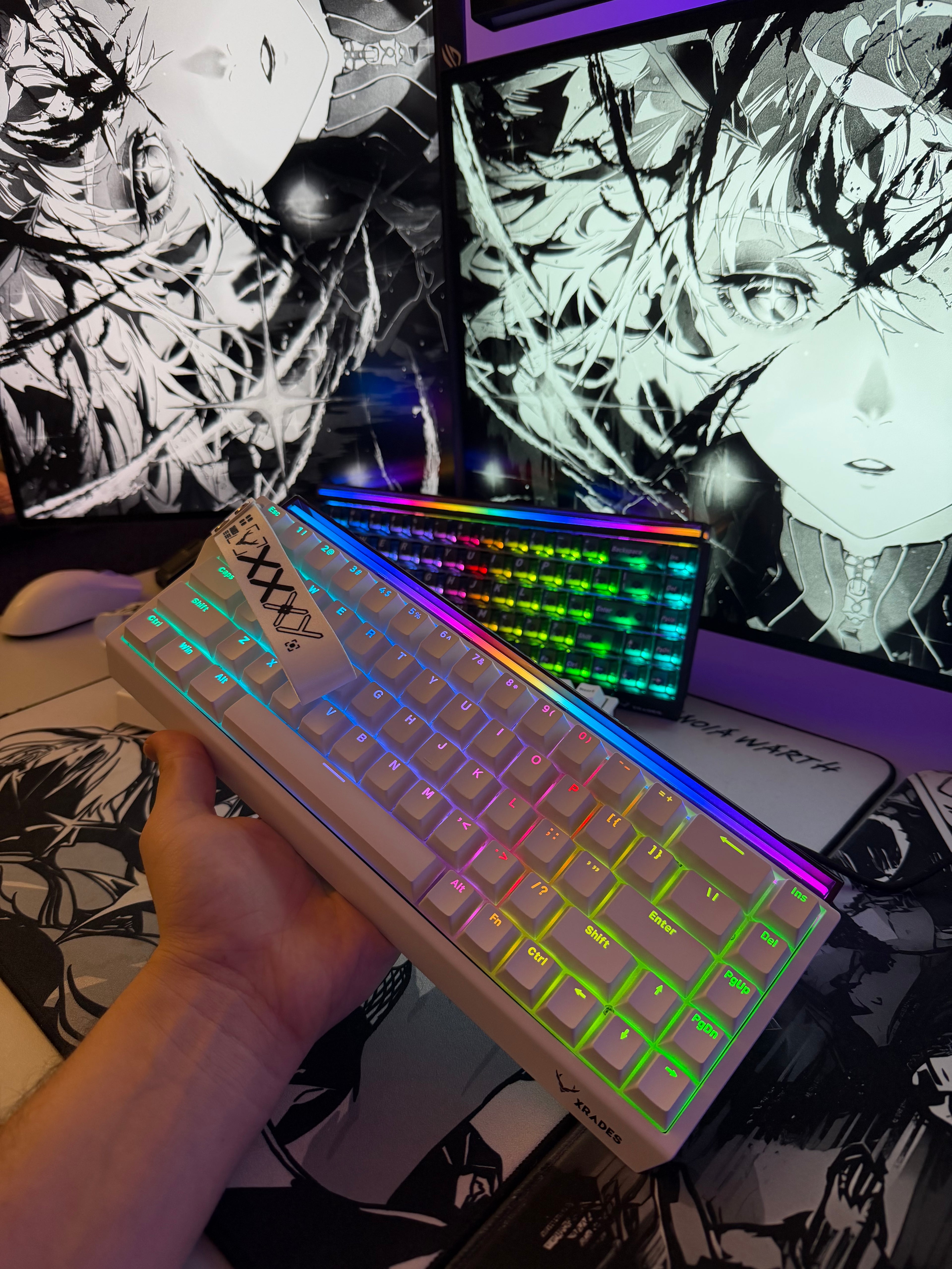 XRADES XR68 ULTRA ICE PRO ( MANYETİK SWITCH ) KLAVYE