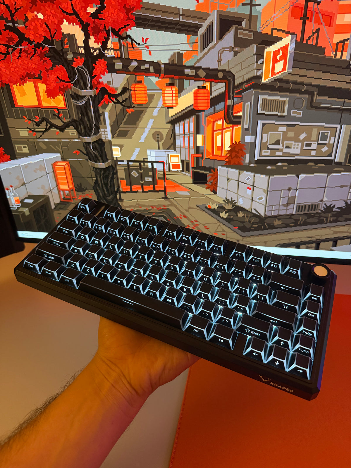 Xrades XR75 V2 Nano Cartoon Black ( Manyetik Switch 8k Hz ) Klavye